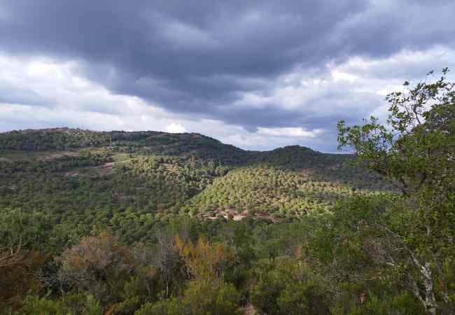 Cartel BiossFera Terra